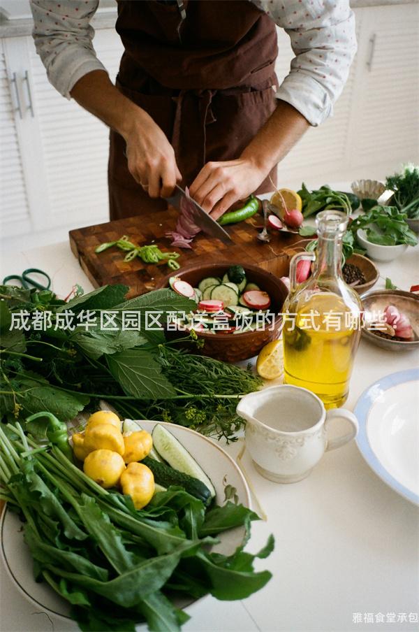 成都成華區(qū)園區(qū)配送盒飯的方式有哪些？